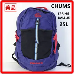 【美品】 CHUMS チャムス SPRING DALE 25 バックパック デイパック リュック 25L ブルー アウトドアシーンで「あったら便利な機能」を搭載 旅行 タウンユースにも 幅広い用途で活躍 340v26