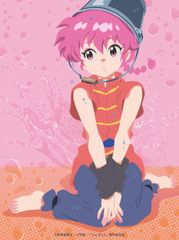 [신품 미개봉]란마 1/2 DVD BOX Vol.1(완전 생산 한정판) [DVD] 야마구치 카츠히라 (출연) 형식: DVD