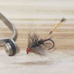 Item thumbnail for item c96ffdf6-c3cf-4eac-88a1-2a5055dcc35e