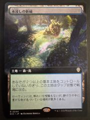 MTG 村荒らし 日本語 拡張アート ECC ローウィンの昏明 統率者 EDH