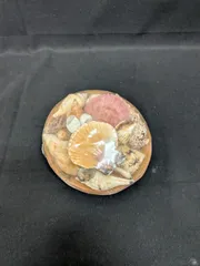 貝殻セット　フランスニューカレドニア