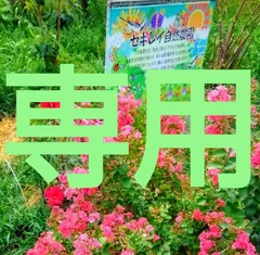 はあちゃん様専用です。