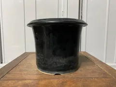 植木鉢　蘭鉢　黒　釉　小品盆栽　ミニ盆栽　観葉植物　多肉植物　山野草　草花　花　雑木　盆栽　サボテン　ガーデニング　鉢　盆栽鉢ん