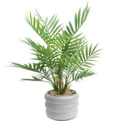 Item thumbnail for item e5b3c26e-5241-4dd0-a623-7c7692bf1926