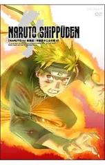 DVD／NARUTO〜ナルト〜疾風伝 守護忍十二士の章 4