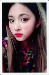 【中古】コレクションカード(女性) TWICE/ツウィ/外枠白色/4th Mini Album CD「SIGNAL」予約初回特典フォトカード