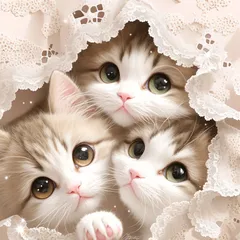 パネル生地　再販　猫8柄