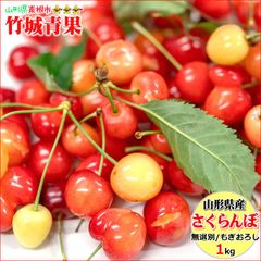 レイニアチェリー 1kg 高糖度 9.5R 大玉 - メルカリ
