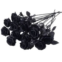 Item thumbnail for item 6af09f2f-c607-49c1-8c10-f351448d4e97