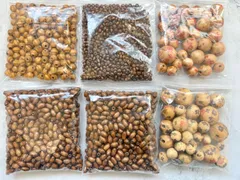 大容量　ハンドメイド　ウッドビーズ　ウッドパーツ　アクセサリーパーツ　ネックレス　ピアス　イヤリング　手芸資材　クラフト素材　詰め合わせセット