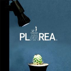 Item thumbnail for item 0ede747d-fcdb-4346-b9b4-af2e4b320f59