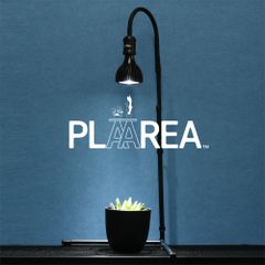 Item thumbnail for item 77c5a39f-5069-4f42-8a98-d6c83ac6e9f2