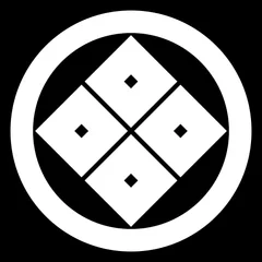 スージー様専用 丸に隅立て四つ目 羽織にのみ五つ紋 NO260116