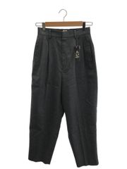 Plage (プラージュ) ⑤ 250309227090220 fibril linen 混 フレアパンツ