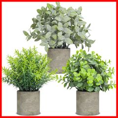 Item thumbnail for item ded60da1-f09a-4051-9dd5-c523e80afc37