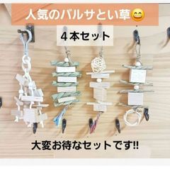 kk3 インコ オオム カジカジ、ガジガジおもちゃセット かじり木 - メルカリ