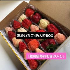いちご　イチゴ　苺　食べ比べ　豪華　新鮮　減農薬