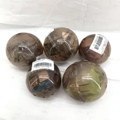 【中古】現状品)いきもの大図鑑 くわがた07　5種ｾｯﾄ[91]