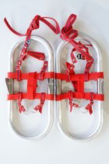 Item thumbnail for item 8fc72e40-769b-46db-929d-4ed0891c88e2