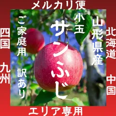 ★北海道　中国　四国　九州エリア専用★数量限定★ 山形県産　小玉 サンふじ　4.5キロ前後　ご家庭用 訳あり　りんご
