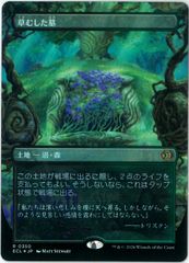 Rainbow Foil/RF/Flesh and Blood/日本語版/十二花弁の袈裟/Twelve