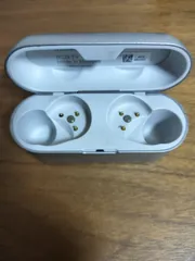 Technics EAH-AZ60充電ケースのみ