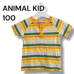 a1718 ANIMAL KID マルチカラー ボーダー半袖Tシャツ 100 男の子 女の子