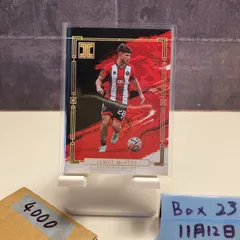 2023-24 Panini Impeccable Premier League James McAtee 07/10 SHEFFIELD UNITED カード