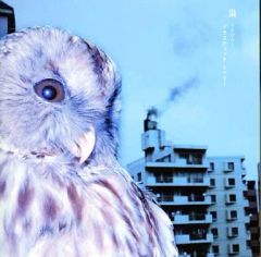 【中古】邦楽CD Plastic Tree / 梟～フクロウ[限定盤]