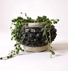 植木鉢 花器 陶器 グレー 黒 底穴あり 受け皿付き 外寸9.5cm 高さ7cm 塊根植物 多肉植物 観葉植物