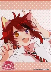 【中古】キャラカード 莉犬(すとろべりーぷりんす) ブロマイド 「すとぷり1stミニアルバム『すとろべりーすたーと』発売記念フェア」 アニメイト限定