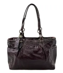 コーチ トートバッグ ショルダーバッグ 肩掛け F15253 レディース COACH