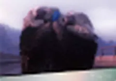 【中古】キャラカード A 「Disney100 トレーディングコレクション2」