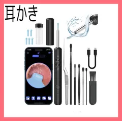 耳かき イヤースコープ カメラ 日本語説明書 専用APP WIFI接続 type-c充電 耳掃除 耳掻き