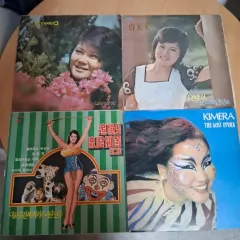 写真 フォト PHOTO そのまま LP 10 腸 まとめ売り 断捨離