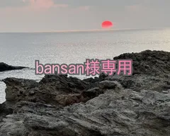 専用です。bansan様