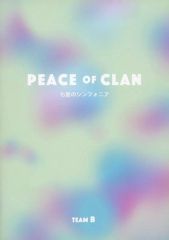 [중고] 팜플렛 ≪팜플렛(무대)≫ 팜플렛) PEACE OF CLAN 칠성의 심포니아 TEAM B
