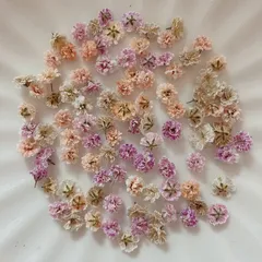 (04)かすみ草ドライフラワー100粒