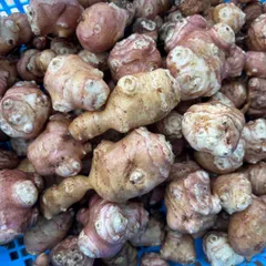 【農薬不使用】食べるインスリン⭐︎菊芋 1kg