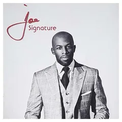 2026年最新】シグネチャー ギターの人気アイテム - メルカリ