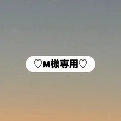 M様専用 おまとめ