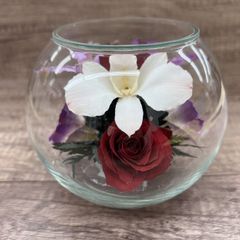 Reine De Fleur レンデフロール さくら - メルカリ