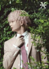 中古】生写真(AKB48・SKE48) NO.98 ： 島崎遥香/AKB48 島崎遥香 卒業