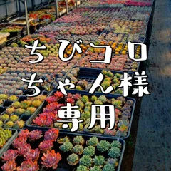 ちびコロちゃん様専用