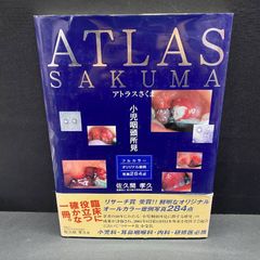 NARUTO ナルトカードグミ 木ノ葉学園 サスケ プラスチックカード 宿命