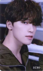 SEVENTEEN FML DINO トレーディングカード