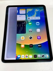 l*l様 iPad pro 12.9インチ 第3世代 256GB Cellula - メルカリ
