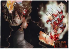 家庭教師ヒットマンREBORN! クリアファイル