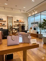 【新品未使用】財布　ピンク 桃色 薄ピンク 可愛い シンプル 春財布 小銭入れ