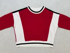 ホリスター レディース スウェット XS